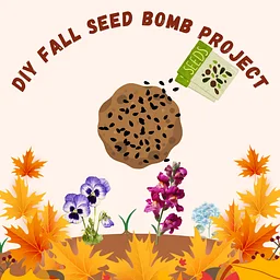 DIY Fall Seed Bombs