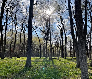 Dayton Bluffs Preserve Workday