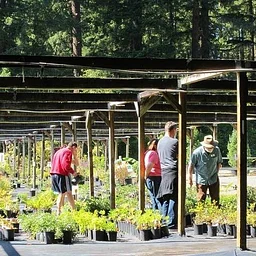 Community Event: Lake Wilderness Arboretum Fall Plant Sale
