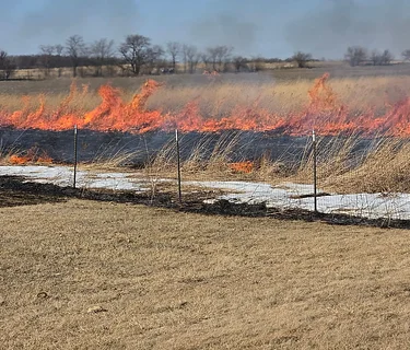 Fire and Seeds- Annual Fall Member Meeting