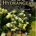 PAINTING CAPE HYDRANGEAS LED BY RIC DELLA BERNARDA