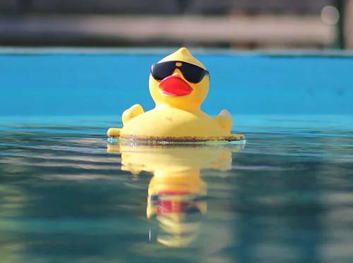Rubber Duck Cosplay Contest