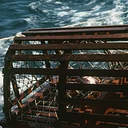HISTORY ON TAP: FINEST KIND: TALES OF A BRANT ROCK LOBSTERMAN