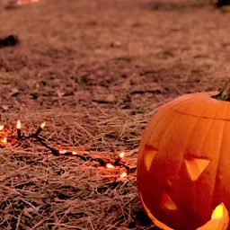 Pumpkin Walk