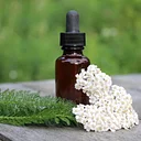 Herbal Remedy Making with Maria Noël Groves