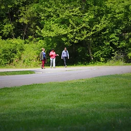 Third Sunday Nature Hike