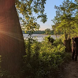 Sunrise Hike