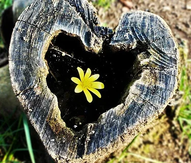 Ladies Lunch Club & Private Garden Tour- Sara Corliss (private event)