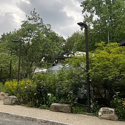 Native Planters