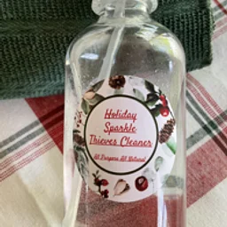 Natural Cleaning Holiday Scent with Janice Take & Make