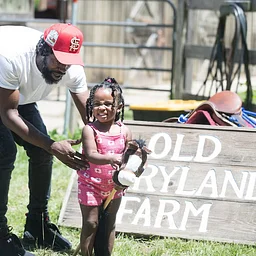 Fall Farm Festival
