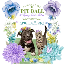 Pit Ball : A Spring Shelter Soirée
