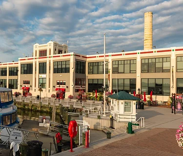 Second Friday: Cherry Blossoms