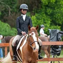 Fall Horse Show