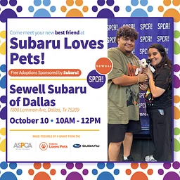 Subaru Loves Pets! Mobile Adoptions @ Sewell Subaru