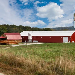 Music at the BARn with Stevie Newman
