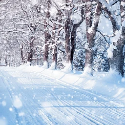 Webinar – Winterproof the Workplace: Preventing Snow and Ice-Related Injuries