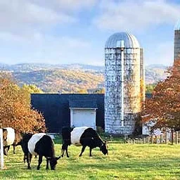Cultivating Resilience: An Evening Retreat for Agriculture Workers