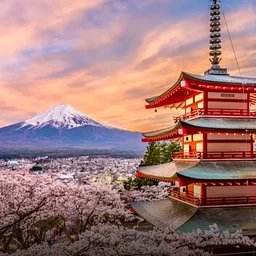 Japan 🇯🇵 (Tokyo, Kyoto and Osaka)