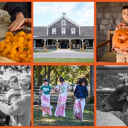 6th Annual Harvest Festival/6º Festival da Colheita Anual