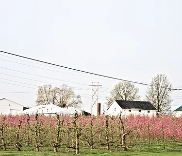 Spring Farm Tour – April