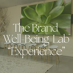 Brand Well-Being Lab Experience