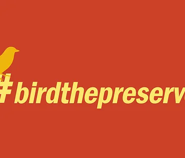 Be a Better Birder: Birding Ethics