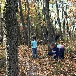 Regular Buckthorn Removal Days