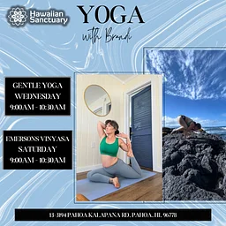 Saturday Yoga Class: Emersons Vinyasa with Brandi