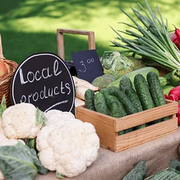 Farmers Market & Vendor Fair