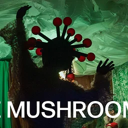 The Mushroom | Under The Radar