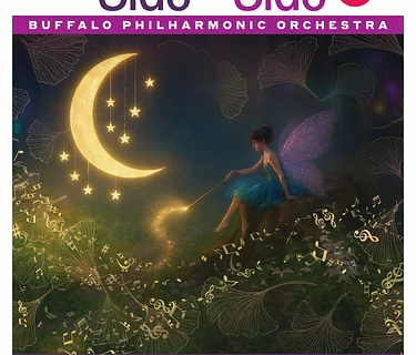 BAVPA Side by Side Concert