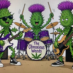 live music by The Obnoxious Weeds