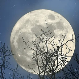 Four Rivers Story Trail: “Millie Fleur Saves the Night”