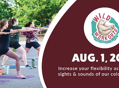 Wild Workout: Yoga (Colobus)