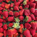 Delray Summer GreenMarket