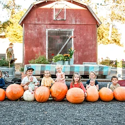 Testa Harvest Fest