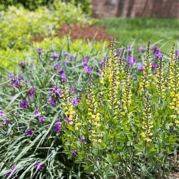Create an Ecological Garden Design for Homeowners