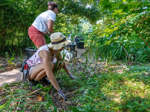 Second Saturday Garden Volunteers