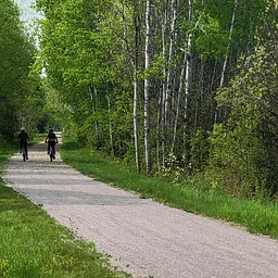 Tap into the Trails: Bike Ride to Barbara C. Hoffius Preserve