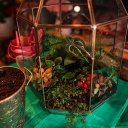 Plant and Sip - Make your Own Terrarium with Radical Roots