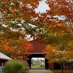 Member Discount Days: November 27-29