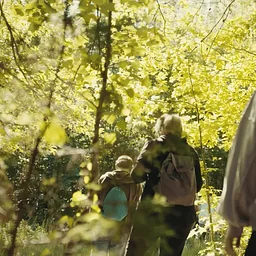 Forest Bathing