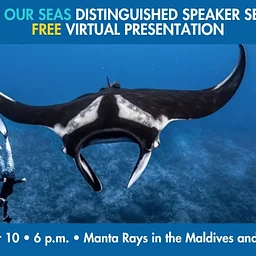 Save Our Seas Distinguished Speaker Series FREE Virtual Presentation