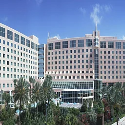 Gulf Coast Conference
