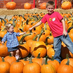 Forneris Farms Pumpkin Patch