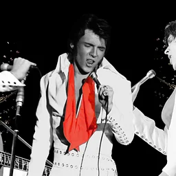 ELVIS: In Person - Starring Matt Stone