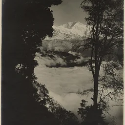 The Studio of Memory