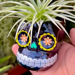 Paint Your Own Skull Planter Pots