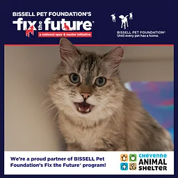 September BISSELL Spay Day - Cats Only